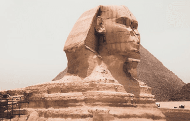 المجتمع المصري العالمي