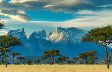 Komuniti Kenya Global