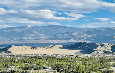 Komuniti Uyghur Global