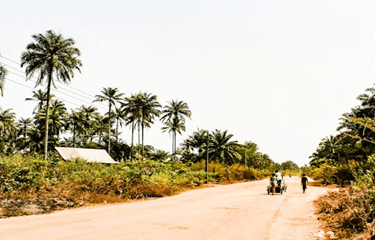 Komuniti Wolof Global