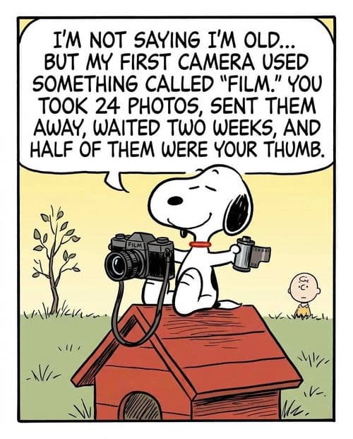media