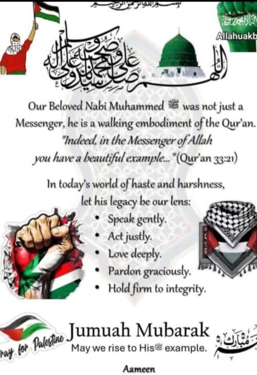 media