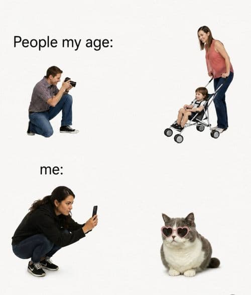 media