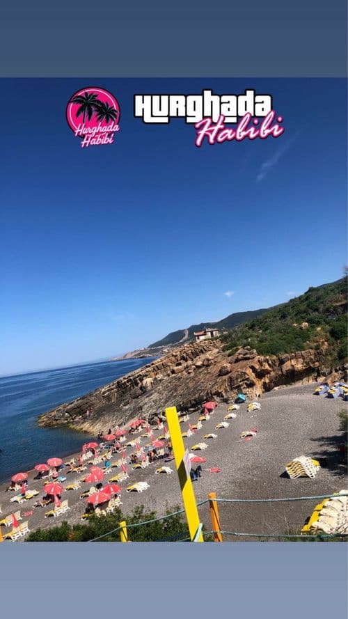 media