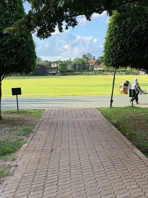 media