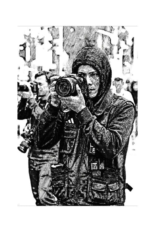 media