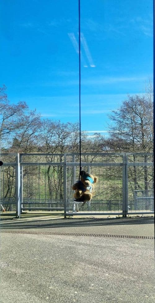 media
