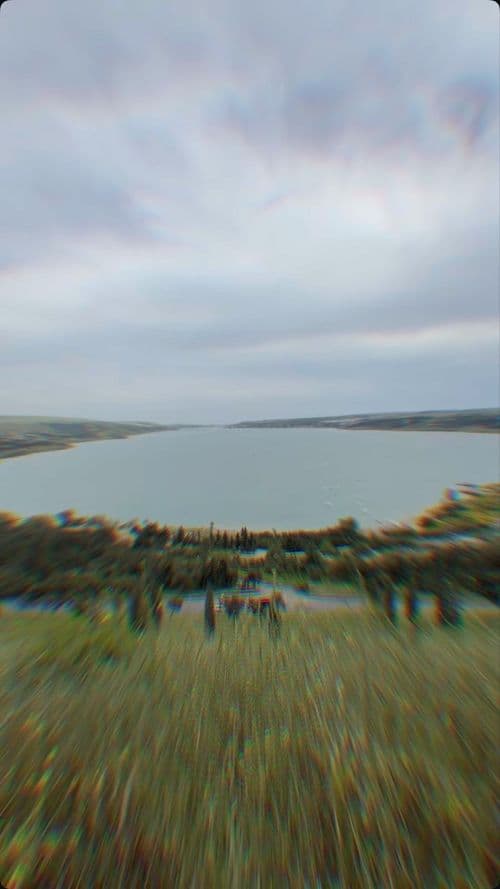 media