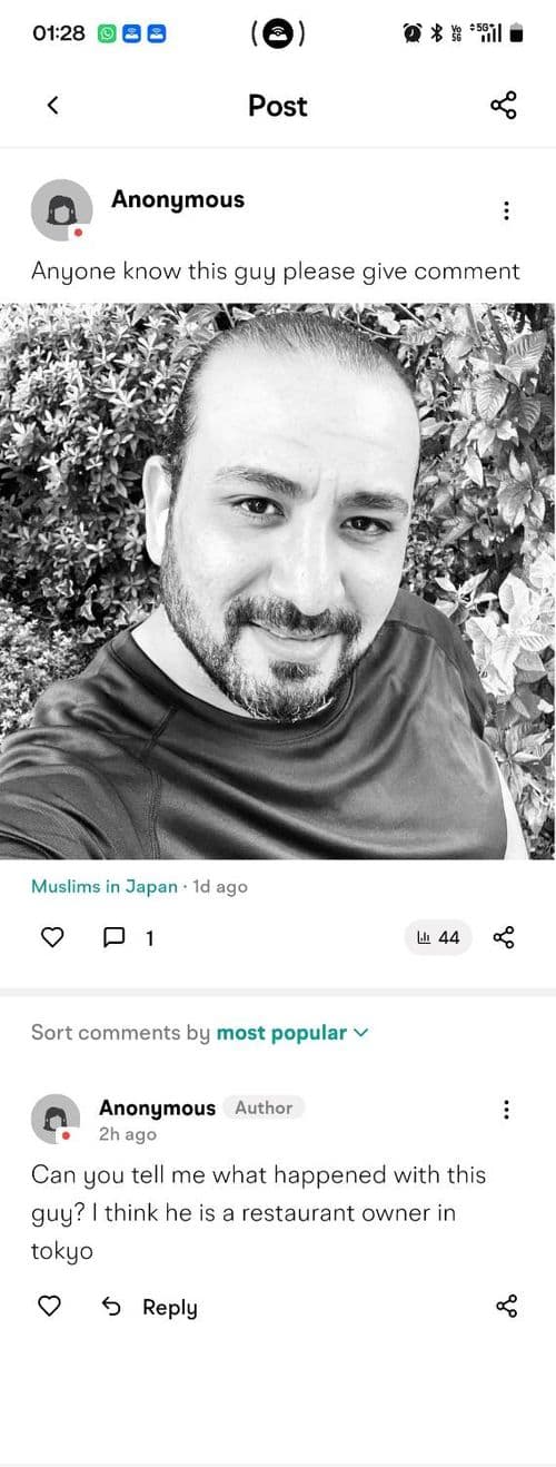 media