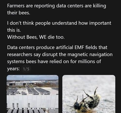 media
