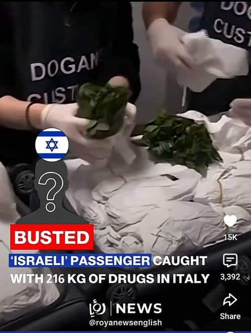 media