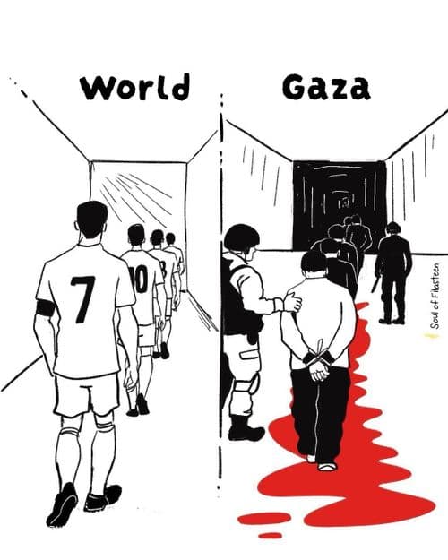 media