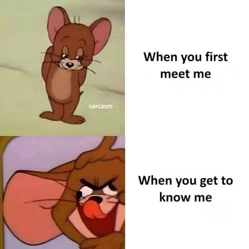media