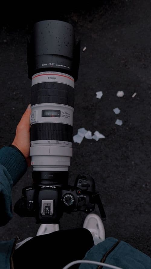 media