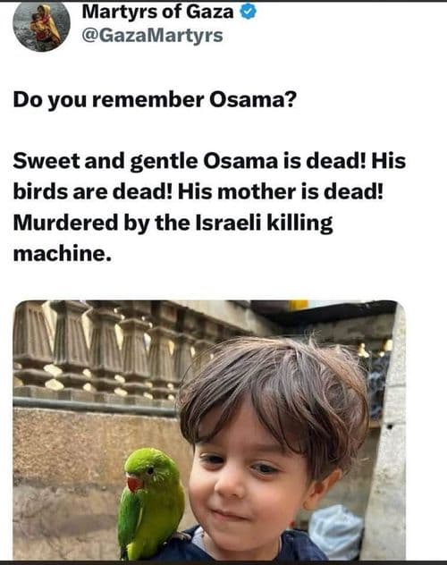media