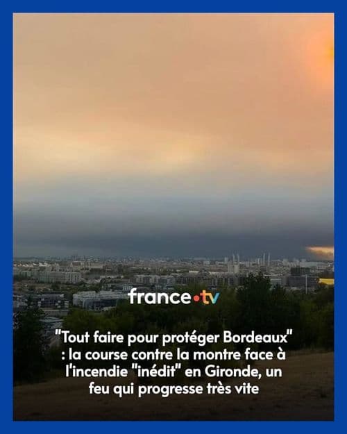 media
