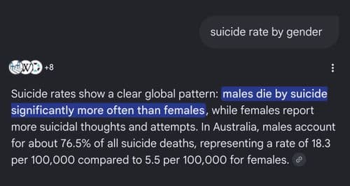 media