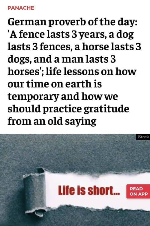 media