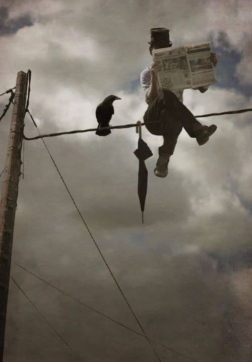 media