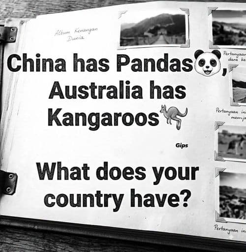 media