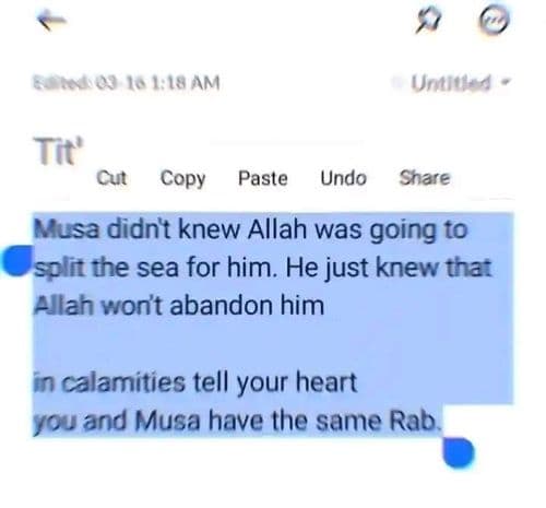 media