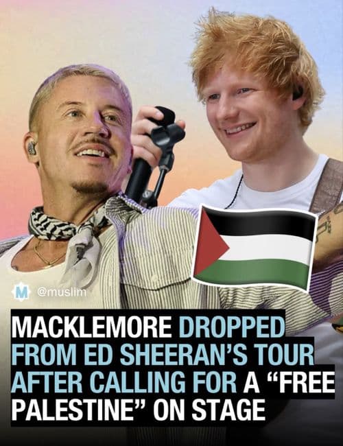 media