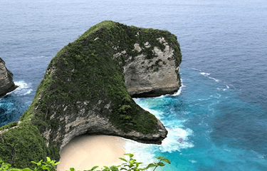 Indonesians